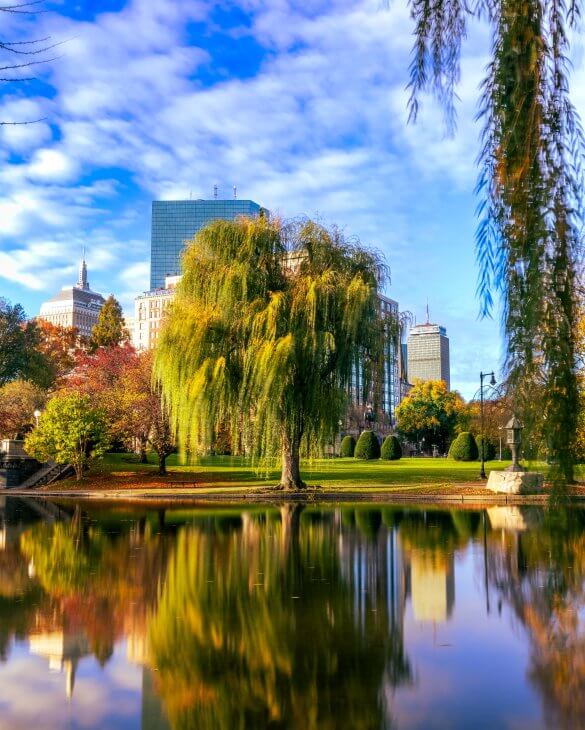 Fall for Boston